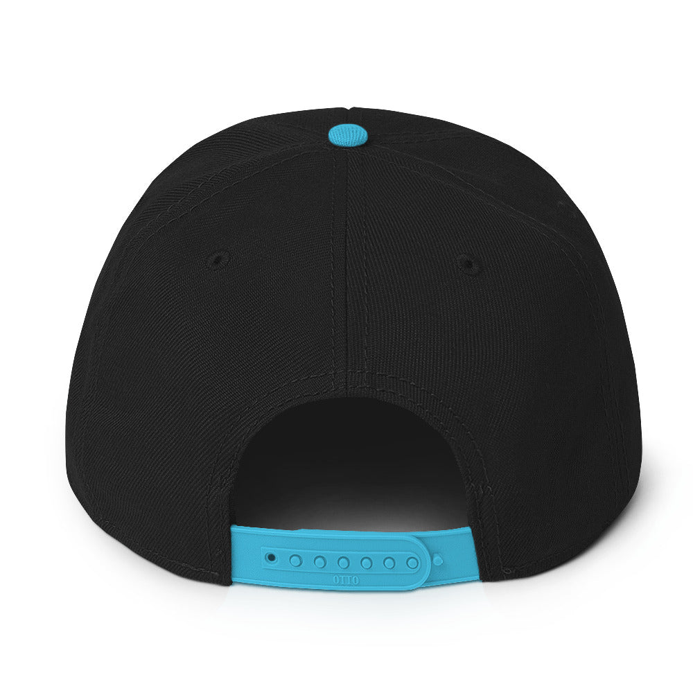 BTL Snapback Hat