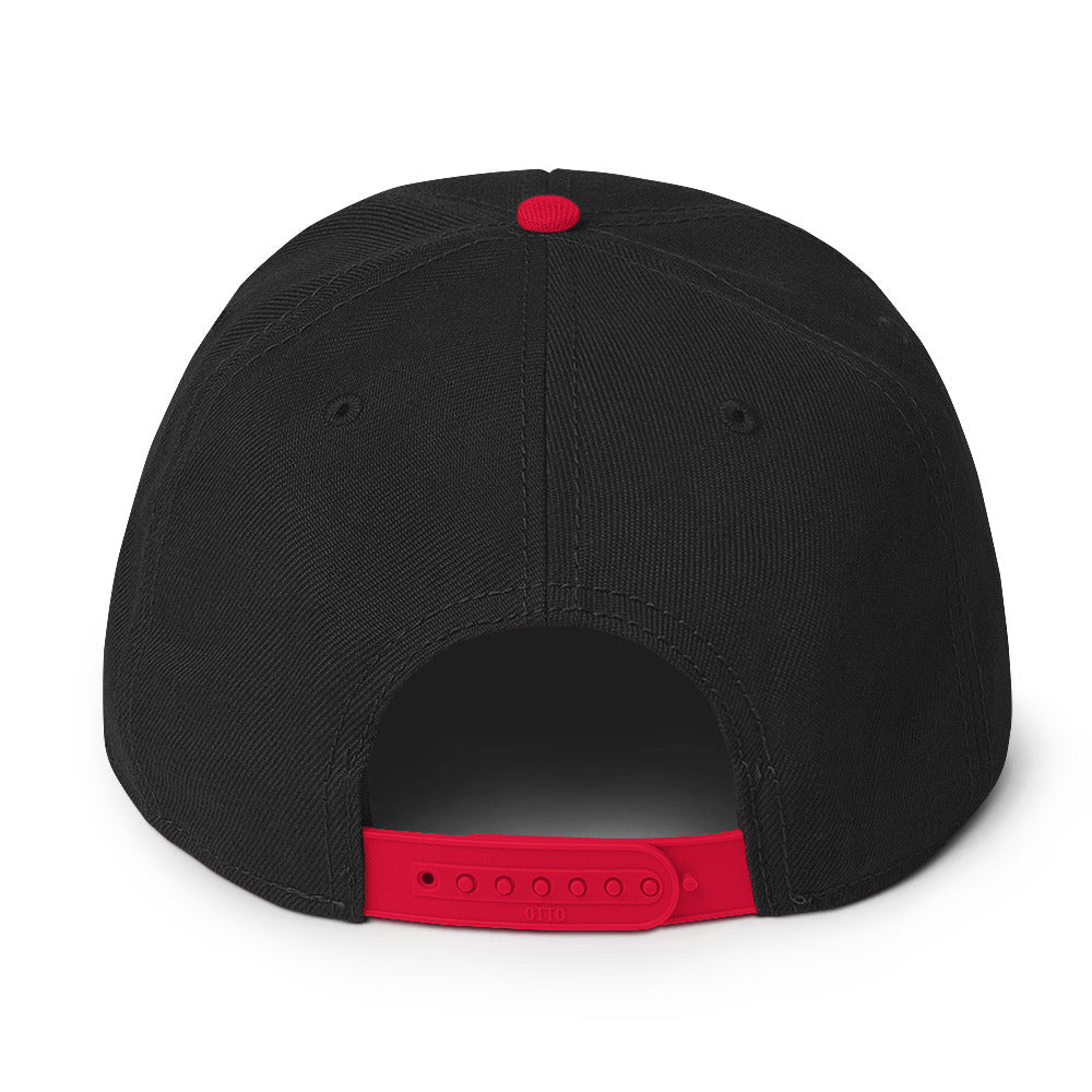 BTL Snapback Hat