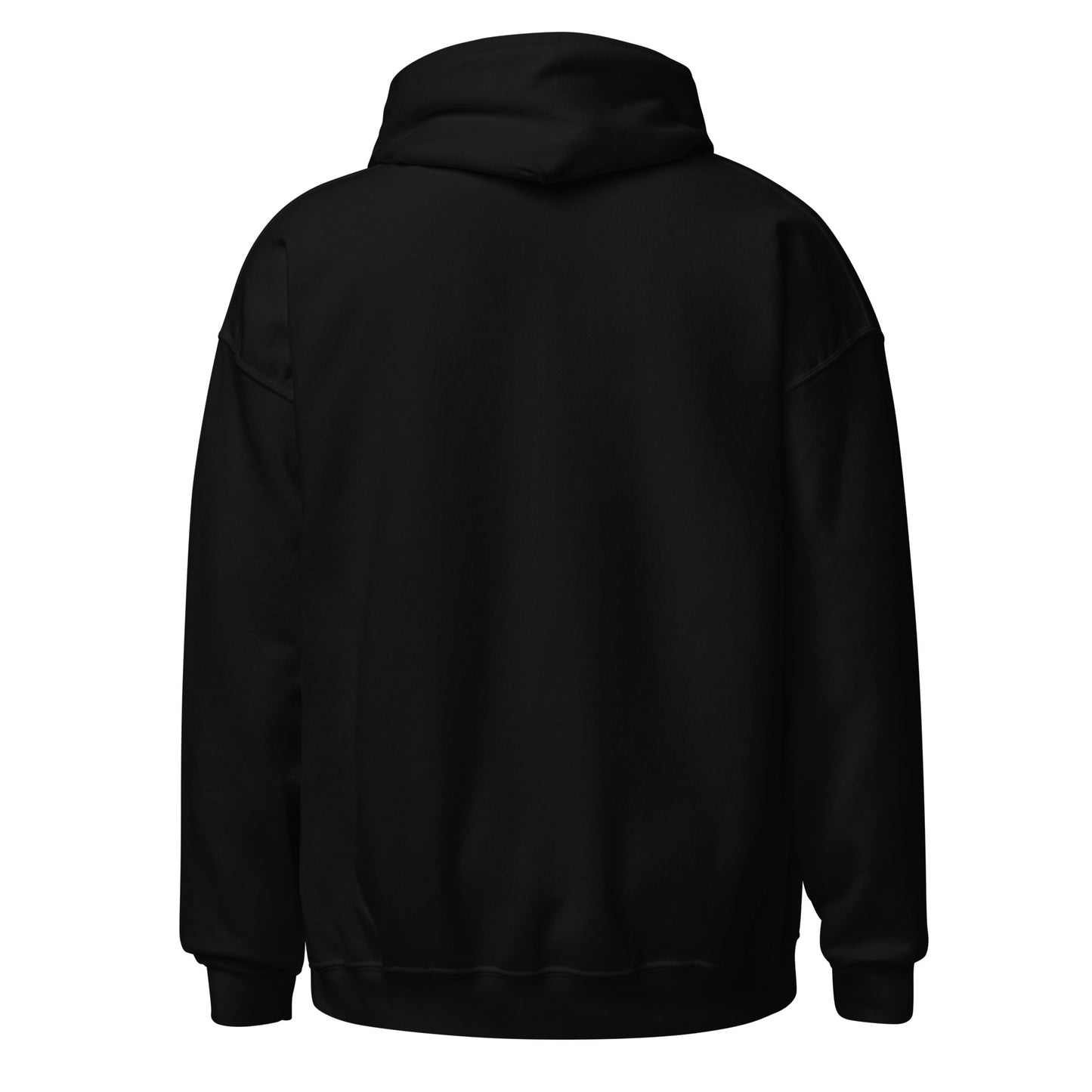 DEFY Hoodie V2