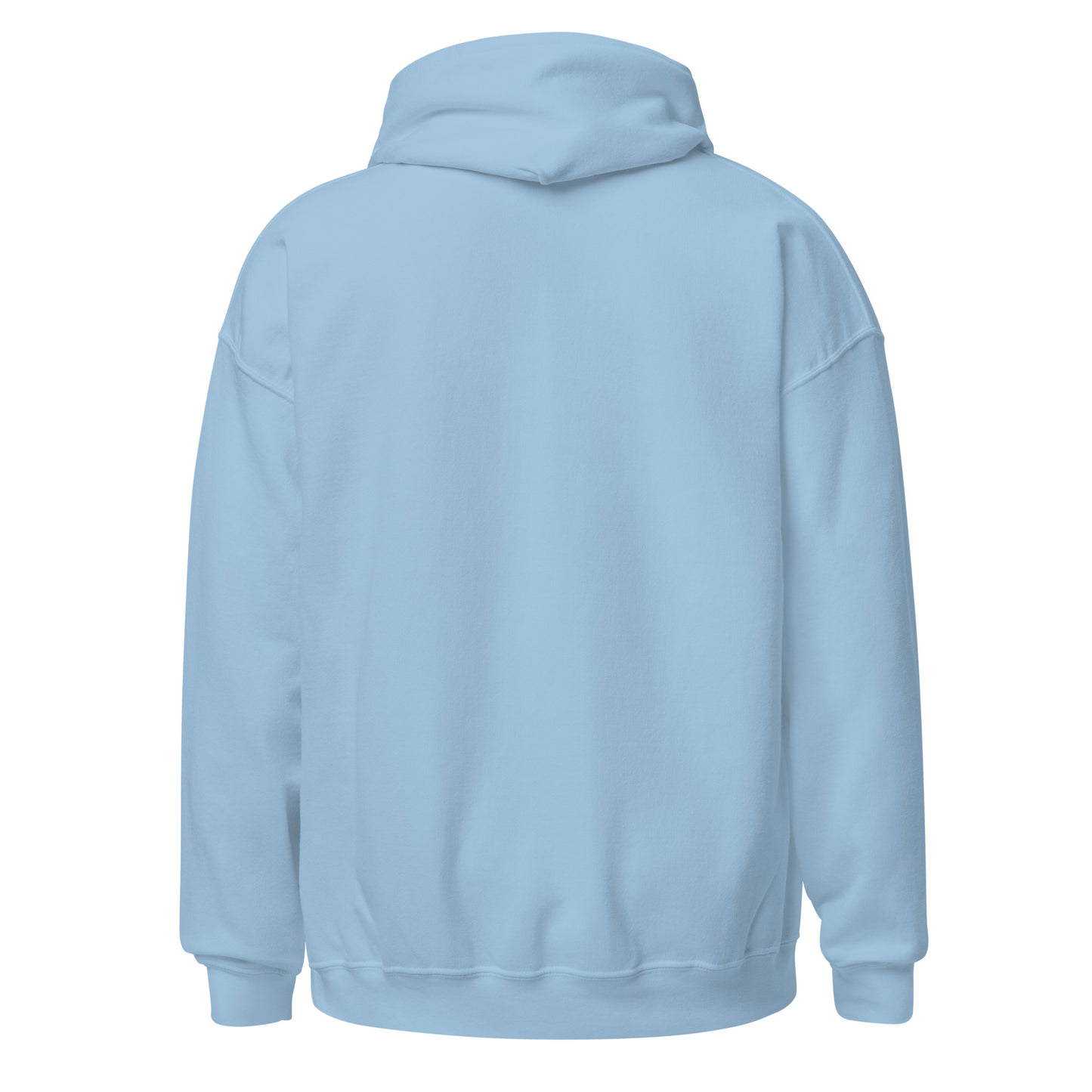 DEFY Hoodie V2