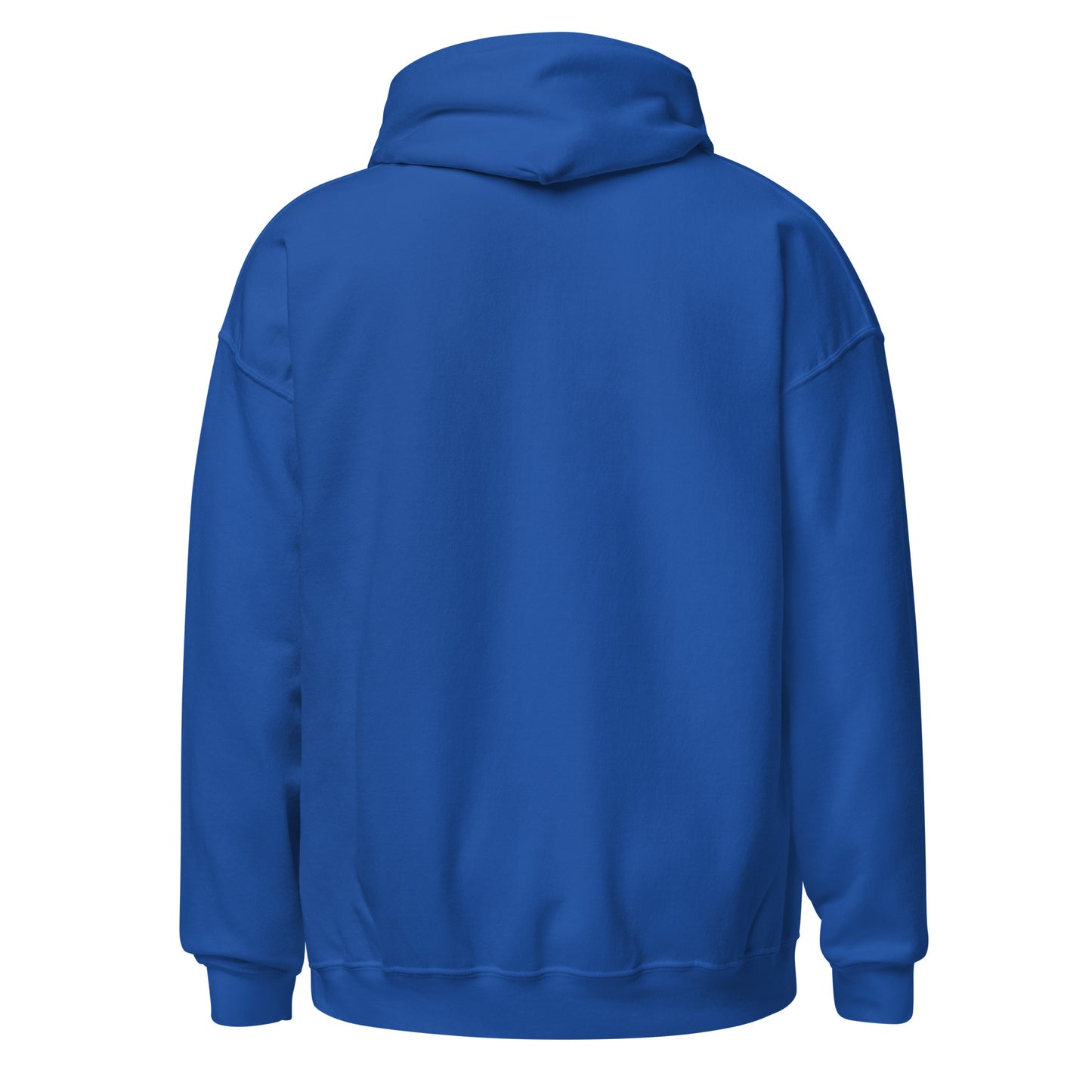 DEFY Hoodie V2