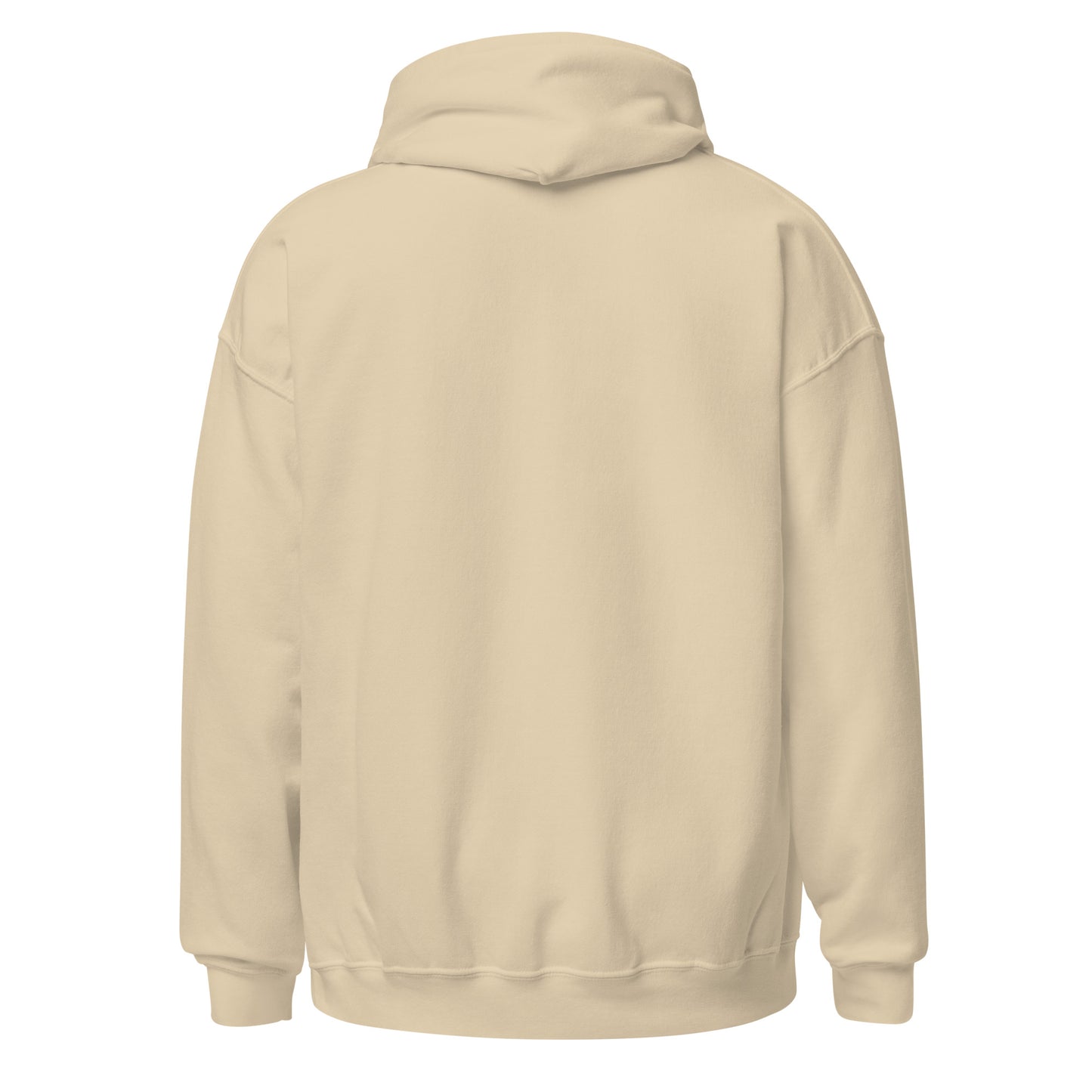 DEFY Hoodie V2