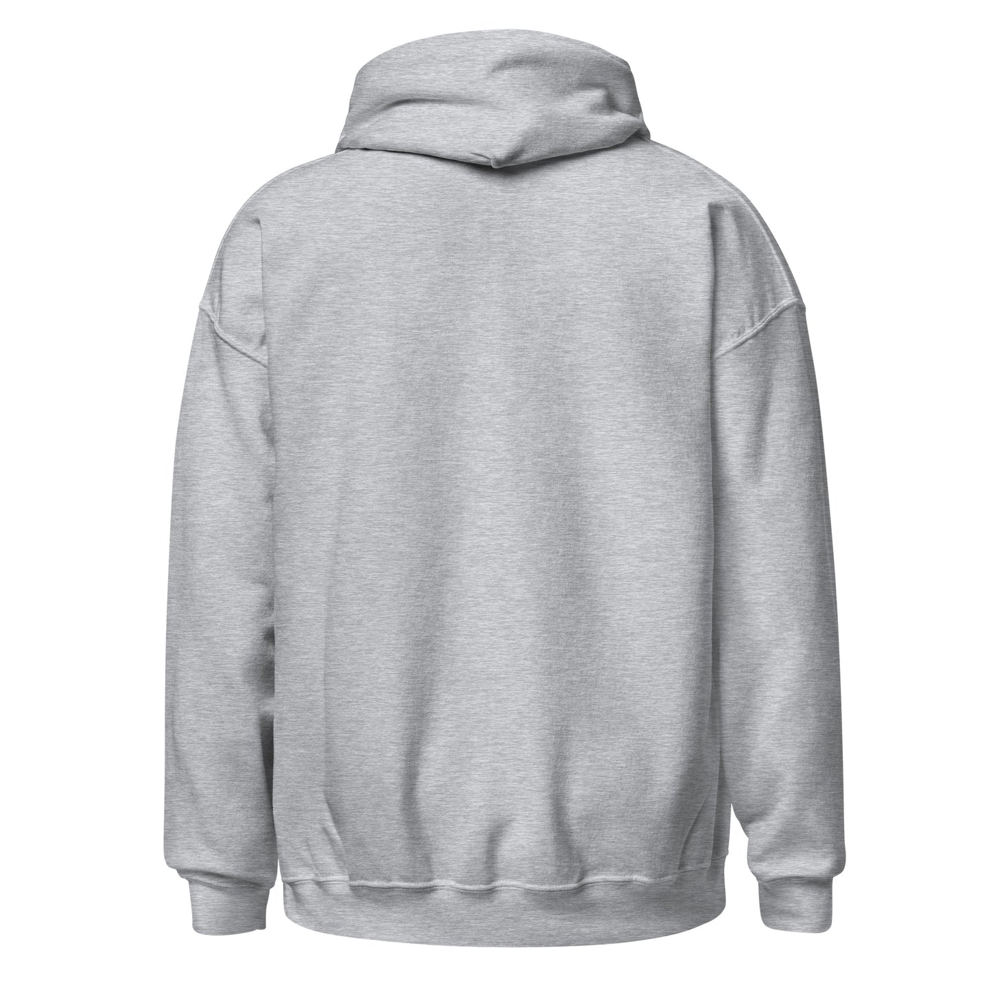 DEFY Hoodie V2